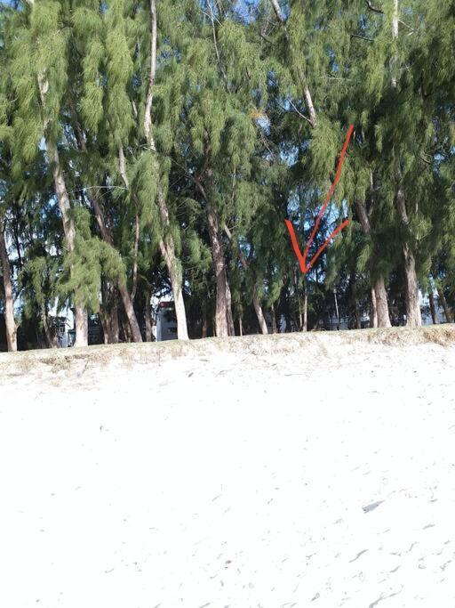 Beachfront Apartment Flic-en-Flacq المظهر الخارجي الصورة